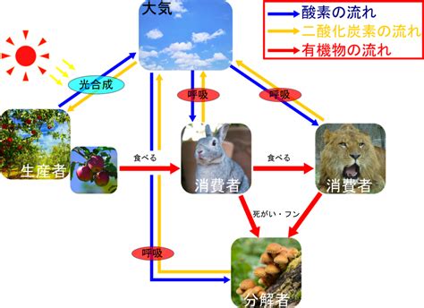 物質界|物質界(ぶっしつかい)とは？ 意味や使い方